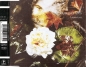 Preview: Christians - I Found Out PICTURE CD Single 1990