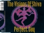 Preview: Visions Of Shiva - Perfect Day CD Single 1992