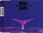 Preview: What On Earth - Whales CD Single 1993