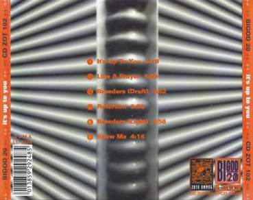 Bigod 20 - It's Up To You CD Single 1993