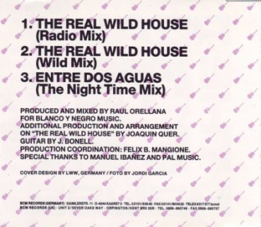 Raul Orellana - The Real Wild House CD Single 1989