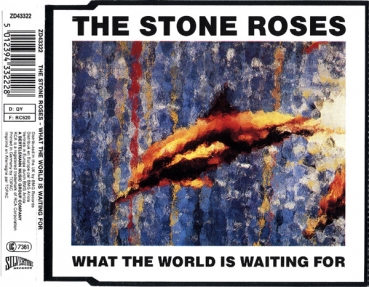 Stone Roses - What The World Is Waiting For CD Single 1989