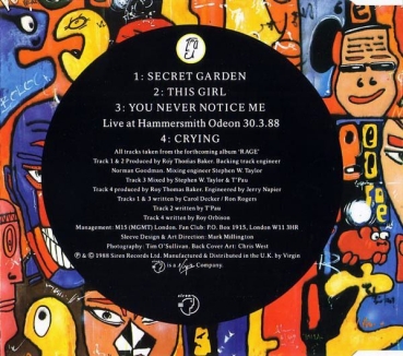 T'Pau - Secret Garden PICTURE CD Single 1988