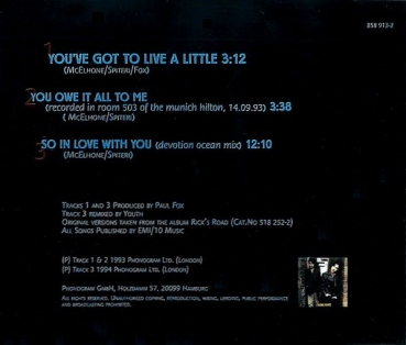 Texas - You've Got To Live A Little CD Single 1994