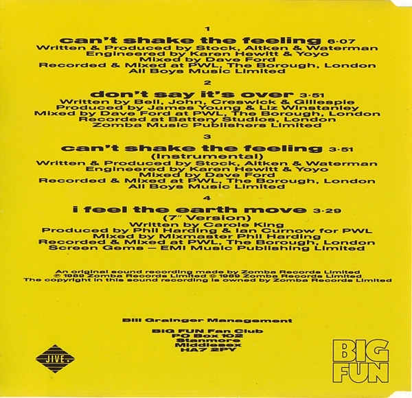 Big Fun (PWL) - Can't Shake The Feeling CD Single 1989
