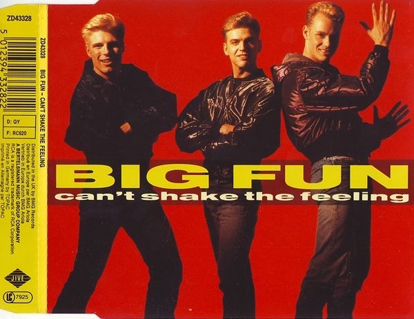 Big Fun (PWL) - Can't Shake The Feeling CD Single 1989