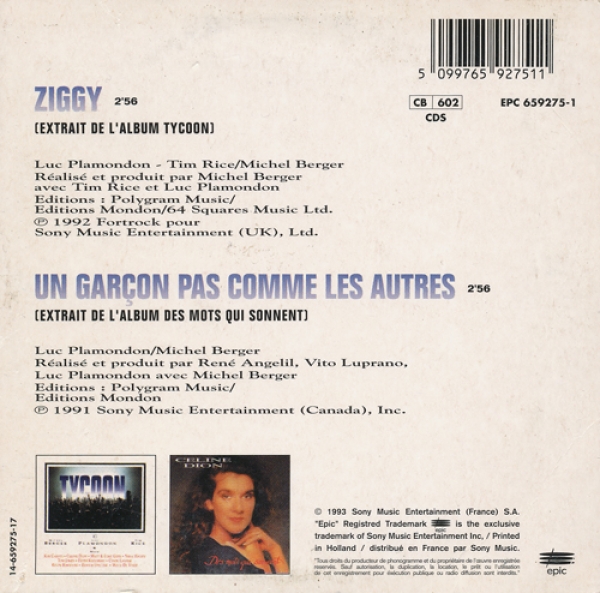 Celine Dion - Ziggy (Extrait De Tycoon) CD Single 1993