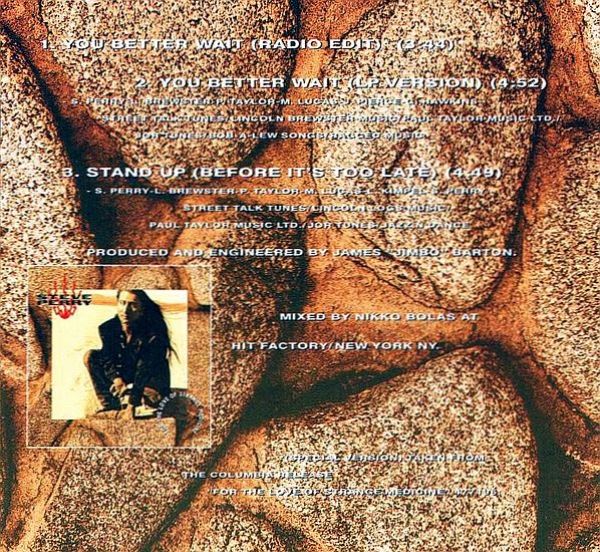 Steve Perry - You Better Wait CD Single 1994